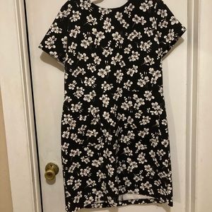 Loft Magnolia  dress 12 black white